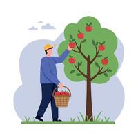 A man picking ripe apples from a vibrant tree in a minimalist, cheerful outdoor setting, capturing the essence of harvest in illustration vector