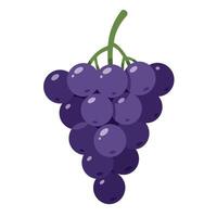 A bunch of realistic purple grapes with glossy texture in flat design style showcasing freshness and vibrant color in art vector