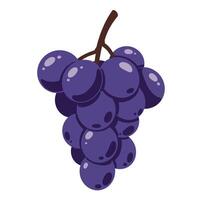 Cluster of ripe purple grapes with glossy texture in a flat design style showcasing vibrant colors and subtle shadows, art vector