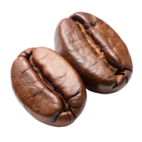 Two Roasted Coffee Beans Close Up Macro Photography isolated on white or transparent background png