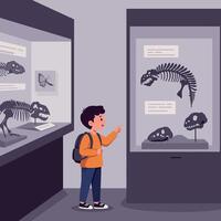 Curious boy exploring dinosaur skeletons in a modern museum setting, flat illustration vector