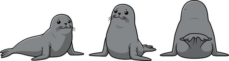 Three adorable grey seals in a playful arrangement showcasing minimalistic design style in art vector