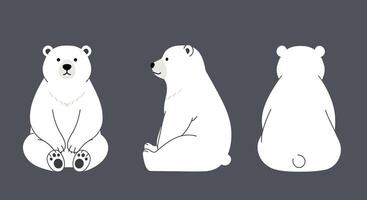 Three adorable polar bears illustrated in a flat style showcasing different perspectives, perfect for nature-themed art vector