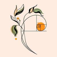 Minimalist Botanical Art with Golden Ratio Spiral modern logo,fashion print.Modern Botanical Geometry with Golden Ratio Element.Botanical Design with Fibonacci Spiral and Leaves illustration vector