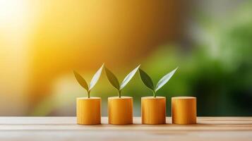 Four wooden sticks with green sprouts on a table photo