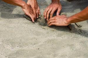 Hands Collaborating on Sand Design at the Beach for Creative Building photo