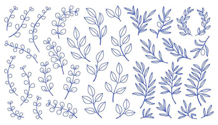 Mediterranean blue branches set. Collection of various branches with leaves hand drawn with blue contour lines on white background. Bundle of botanical design elements.
