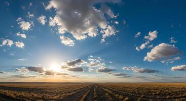Sunny day in spring with fluffy white clouds in a blue sky above a fresh green meadow full of life. Springtime nature scene with bright sunshine, clear blue sky and wide open grassy field in bloom photo