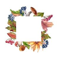 Frame of fall plants mushrooms, yellow flower and rowan berries in watercolor isolated. Daisy and black chokeberry painted. Autumn border with maple leaves and botanical elements hand drawn vector