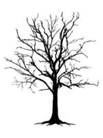 Black tree and branch, roots on white background. vector