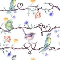 Tree branches with tiny birds, watercolor floral elements on seamless pattern isolated. Delicate flowers and cute little birds on tree hand drawn design on repeated background for home textile vector