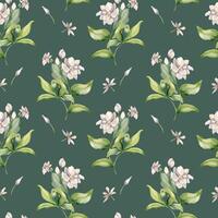 Jasmine plant, buds, leaves watercolor seamless pattern isolated. White flower botanical style hand drawn on repeating texture. Floral background in pale tones for design textile, package, wrapping. vector