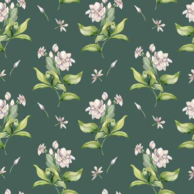 Jasmine plant, buds, leaves watercolor seamless pattern isolated. White flower botanical style hand drawn on repeating texture. Floral background in pale tones for design textile, package, wrapping.