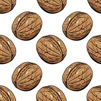 Seamless walnut pattern in hand drawn cartoon style vector