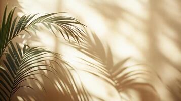 Palm leaves on a wall with sunlight photo