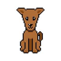 Pixel art cute greyhound dog in retro style for design. vector