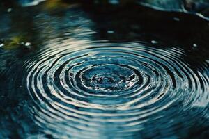 Water ripples in a pond photo
