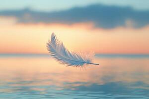 A feather floating in the water at sunset photo