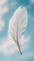 White feather in the sky photo