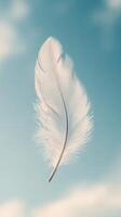 White feather floating in the sky photo