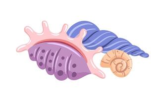 A whimsical illustration of seashells, featuring vibrant colors and simple shapes. The image showcases a variety of seashells in different sizes and patterns, creating a playful composition vector