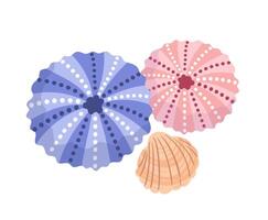 A illustration featuring a vibrant sea urchins and a delicate seashell, showcasing the intricate textures and colors of marine life, isolated on white background vector