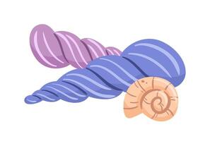 A stunning illustration of Turritella shells, highlighting their unique spiral shapes and intricate patterns. Ideal for marine-themed projects, educational materials, and nature-inspired design vector