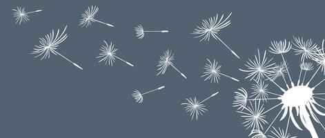 A captivating horizontal background featuring the silhouette of a dandelion and its floating seeds against a dark backdrop, creating a striking contrast that enhances the sense of movement vector