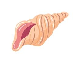 A illustration of a seashell with a light brown surface and white stripes, curled in a spiral shape. The seashell has a glossy texture and a pink interior visible at the base. The image has a vector