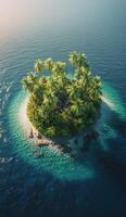 An island with palm trees in the middle of the ocean photo