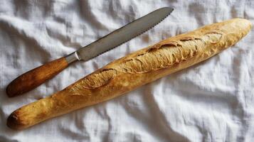 A long french bread photo