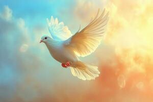 A white dove flying in the sky with a sun in the background photo