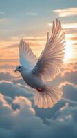 A white dove flying in the sky at sunset photo