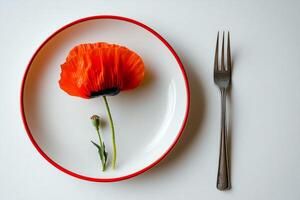 A red and white plate with a single red flower on it photo