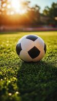A soccer ball on the grass with the sun in the background photo