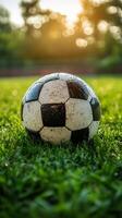 A soccer ball on the grass in front of a sun photo