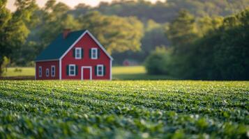 A red house in a field with green grass photo