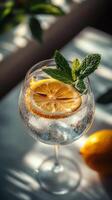 A glass of gin with lemon and mint leaves photo