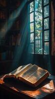 The bible in the light photo