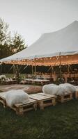 A wedding tent with white cushions and a white table photo