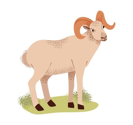 Flat illustration of a playful ram. Cute farm animal.