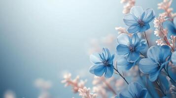 Blue flowers on a blue background photo