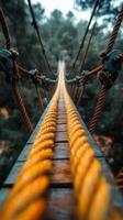 A rope bridge is shown with a blurry background photo