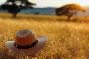 A hat sits in a field at sunset photo