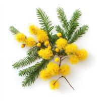 Bright yellow blooms and green leaves create a vibrant botanical arrangement in a modern setting photo