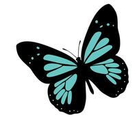 turquoise and black butterfly with delicate patterned wings isolated on white background, perfect for nature inspired designs vector