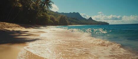 Cinematic view of a tranquil beach with gentle waves and lush greenery photo