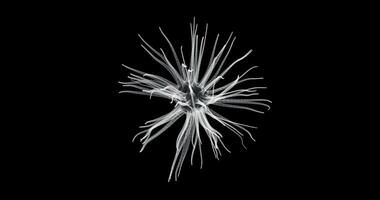 Hologram screen 3d of a neuron cell- loop video