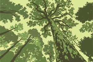 Looking Up at a Majestic Forest Canopy A Green energy Earth Day View from Below Showing Tall Trees and Lush Greenery vector