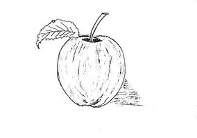 Detailed black and white sketch of an apple with a leaf and shading ideal for design prints education and art projects vector